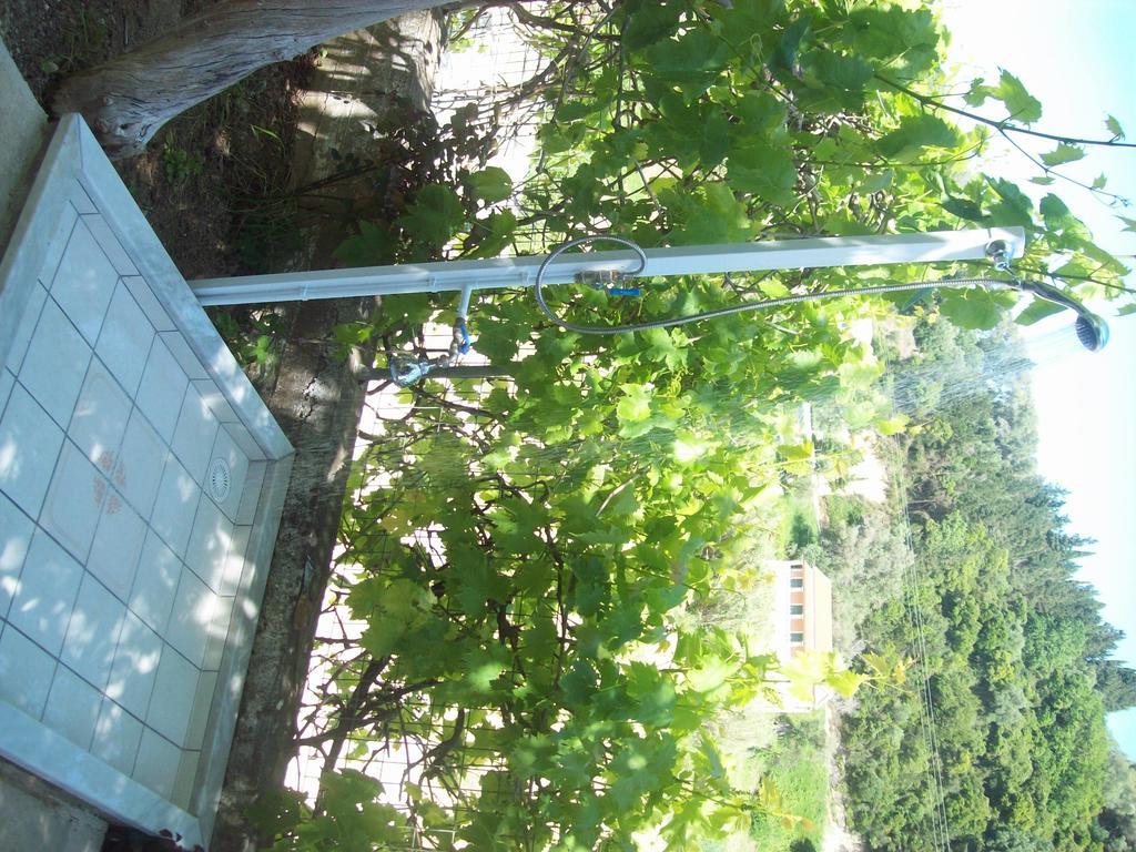 Villa Vania Gardenos 维塔拉戴斯 外观 照片